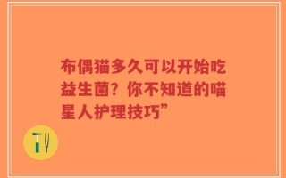 布偶猫多久可以开始吃益生菌？你不知道的喵星人护理技巧”
