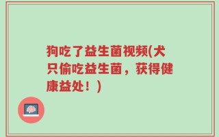 狗吃了益生菌视频(犬只偷吃益生菌，获得健康益处！)