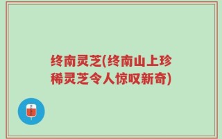 终南灵芝(终南山上珍稀灵芝令人惊叹新奇)