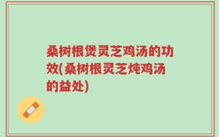 桑树根煲灵芝鸡汤的功效(桑树根灵芝炖鸡汤的益处)