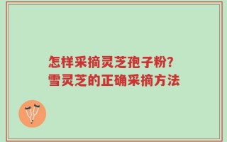 怎样采摘灵芝孢子粉？雪灵芝的正确采摘方法