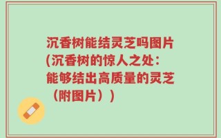 沉香树能结灵芝吗图片(沉香树的惊人之处：能够结出高质量的灵芝（附图片）)