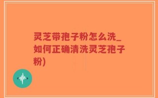 灵芝带孢子粉怎么洗_如何正确清洗灵芝孢子粉)
