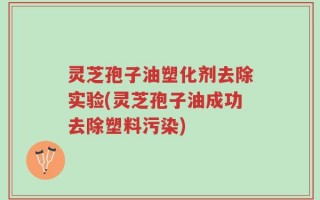 灵芝孢子油塑化剂去除实验(灵芝孢子油成功去除塑料污染)
