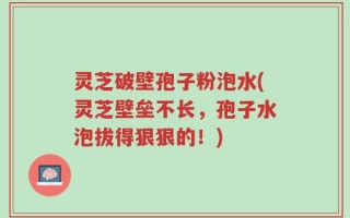 灵芝破壁孢子粉泡水(灵芝壁垒不长，孢子水泡拔得狠狠的！)