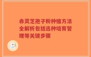 赤灵芝孢子粉种植方法全解析包括选种培育管理等关键步骤
