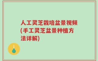 人工灵芝栽培盆景视频(手工灵芝盆景种植方法详解)