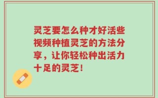 灵芝要怎么种才好活些视频种植灵芝的方法分享，让你轻松种出活力十足的灵芝！