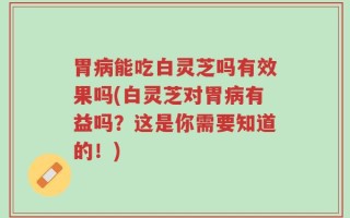胃病能吃白灵芝吗有效果吗(白灵芝对胃病有益吗？这是你需要知道的！)