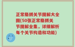 正常胳膊关节图解大全图(50张正常胳膊关节图解全集，详细解析每个关节构造和功能)