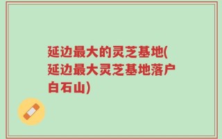 延边最大的灵芝基地(延边最大灵芝基地落户白石山)