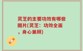 灵芝的主要功效有哪些图片(灵芝：功效全面，身心兼顾)
