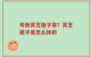 粤微灵芝孢子茶？灵芝孢子是怎么样的