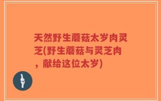 天然野生蘑菇太岁肉灵芝(野生蘑菇与灵芝肉，献给这位太岁)