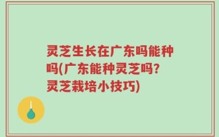 灵芝生长在广东吗能种吗(广东能种灵芝吗？灵芝栽培小技巧)