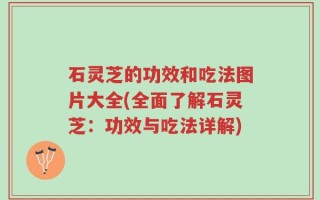 石灵芝的功效和吃法图片大全(全面了解石灵芝：功效与吃法详解)
