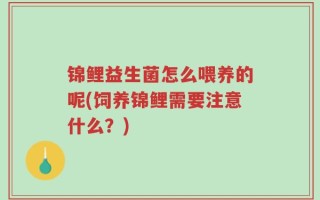 锦鲤益生菌怎么喂养的呢(饲养锦鲤需要注意什么？)