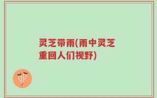 灵芝带雨(雨中灵芝 重回人们视野)