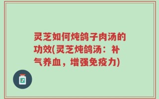 灵芝如何炖鸽子肉汤的功效(灵芝炖鸽汤：补气养血，增强免疫力)