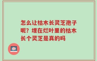 怎么让枯木长灵芝孢子呢？埋在烂叶里的枯木长个灵芝是真的吗