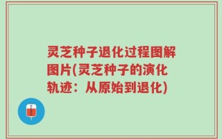 灵芝种子退化过程图解图片(灵芝种子的演化轨迹：从原始到退化)