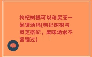 枸杞树根可以和灵芝一起煲汤吗(枸杞树根与灵芝搭配，美味汤水不容错过)