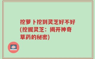 挖萝卜挖到灵芝好不好(挖掘灵芝：揭开神奇草药的秘密)