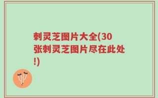 刺灵芝图片大全(30张刺灵芝图片尽在此处!)
