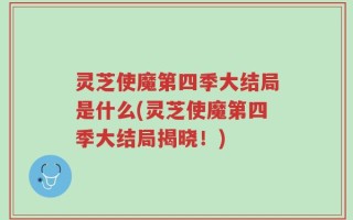灵芝使魔第四季大结局是什么(灵芝使魔第四季大结局揭晓！)