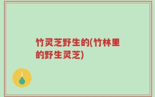 竹灵芝野生的(竹林里的野生灵芝)