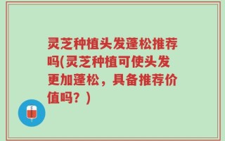 灵芝种植头发蓬松推荐吗(灵芝种植可使头发更加蓬松，具备推荐价值吗？)
