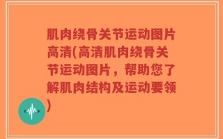 肌肉绕骨关节运动图片高清(高清肌肉绕骨关节运动图片，帮助您了解肌肉结构及运动要领)