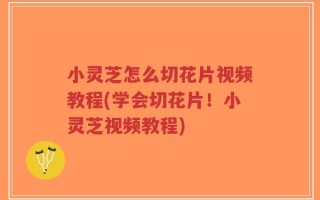 小灵芝怎么切花片视频教程(学会切花片！小灵芝视频教程)