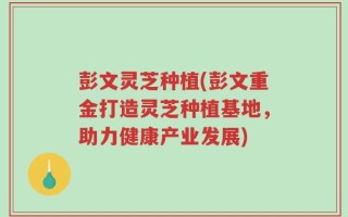 彭文灵芝种植(彭文重金打造灵芝种植基地，助力健康产业发展)