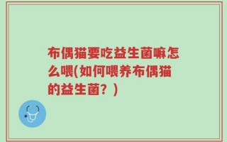 布偶猫要吃益生菌嘛怎么喂(如何喂养布偶猫的益生菌？)