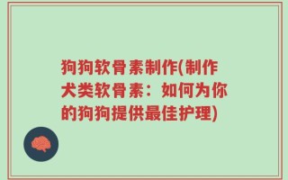 狗狗软骨素制作(制作犬类软骨素：如何为你的狗狗提供最佳护理)