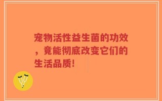宠物活性益生菌的功效，竟能彻底改变它们的生活品质!