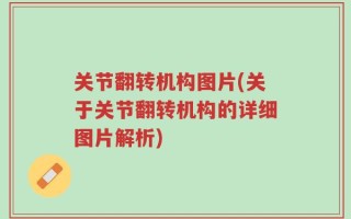 关节翻转机构图片(关于关节翻转机构的详细图片解析)