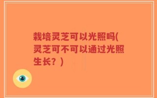 栽培灵芝可以光照吗(灵芝可不可以通过光照生长？)