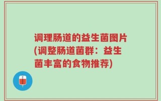 调理肠道的益生菌图片(调整肠道菌群：益生菌丰富的食物推荐)
