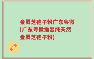 金灵芝孢子粉广东粤微(广东粤微推出纯天然金灵芝孢子粉)