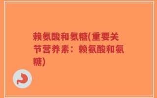 赖氨酸和氨糖(重要关节营养素：赖氨酸和氨糖)
