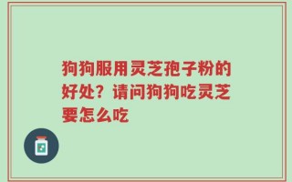 狗狗服用灵芝孢子粉的好处？请问狗狗吃灵芝要怎么吃