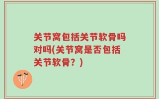 关节窝包括关节软骨吗对吗(关节窝是否包括关节软骨？)