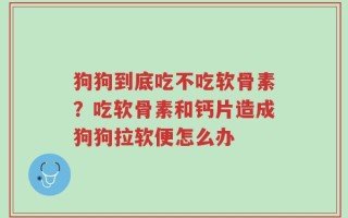 狗狗到底吃不吃软骨素？吃软骨素和钙片造成狗狗拉软便怎么办