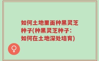 如何土地里面种黑灵芝种子(种黑灵芝种子：如何在土地深处培育)