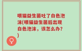 喂猫益生菌吐了白色泡沫(喂猫益生菌后出现白色泡沫，该怎么办？)