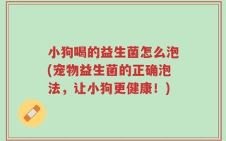 小狗喝的益生菌怎么泡(宠物益生菌的正确泡法，让小狗更健康！)