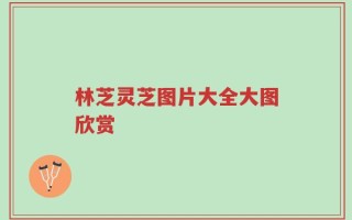 林芝灵芝图片大全大图欣赏