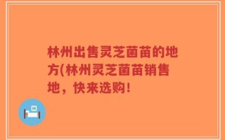 林州出售灵芝菌苗的地方(林州灵芝菌苗销售地，快来选购！